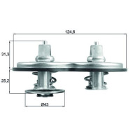 Termostat Actros Antos OM936 Çiftli A9362000315 